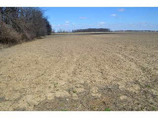 Property photo 25 - LAND AUCTION - 215+/- ACRES OFFERED IN 6 TRACTS IN VAN WERT COUNTY, OHIO
